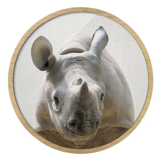 Nowoczesne obrazy do salonu Mała rhino Nina