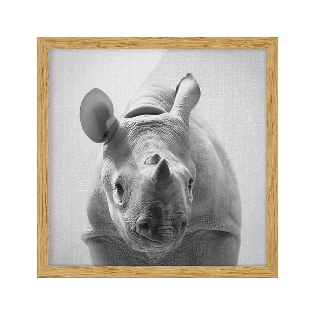 Nowoczesne obrazy do salonu Baby Rhinoceros Nina Black And White