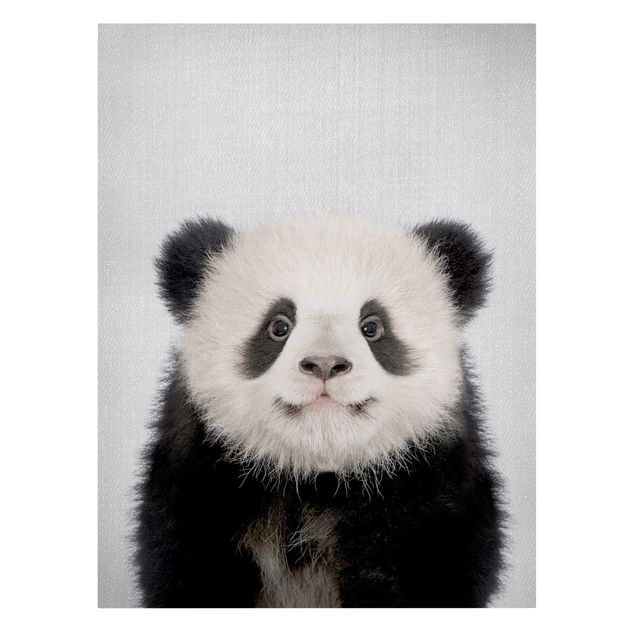 Panda obraz Baby Panda Prian