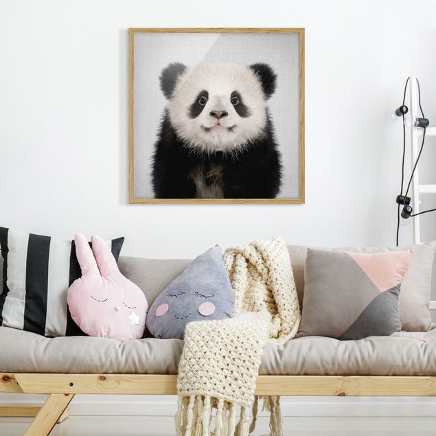 Obrazy panda Baby Panda Prian