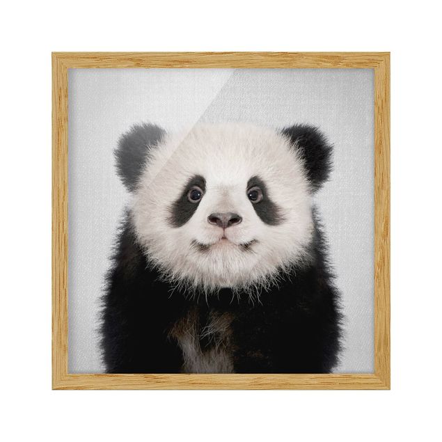 Obrazy w ramie zwierzęta Baby Panda Prian