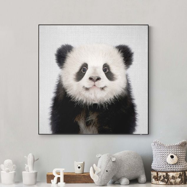 Obrazy nowoczesne Mała panda Prian