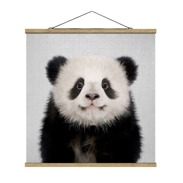 Zwierzęta obrazy Baby Panda Prian