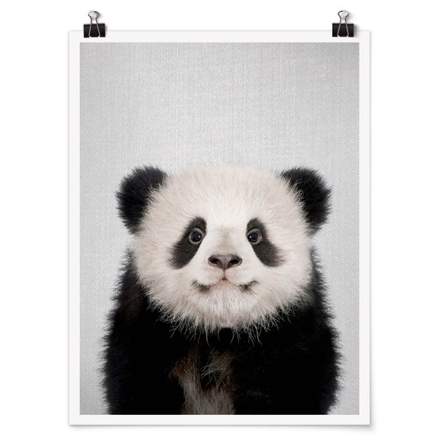 Zwierzęta obrazy Baby Panda Prian