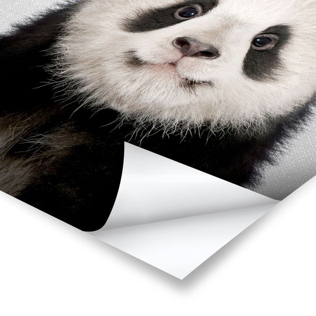 Plakaty czarno białe Baby Panda Prian