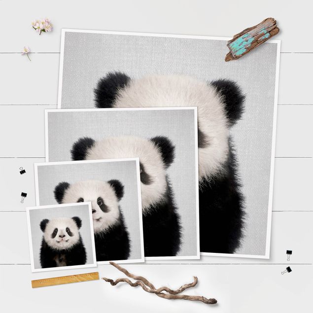 Obrazy na ścianę Baby Panda Prian