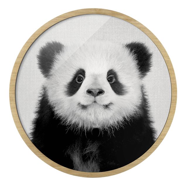Panda obraz Mały panda Prian czarno-biały