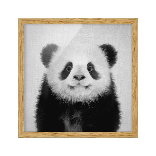 Obrazy w ramie zwierzęta Baby Panda Prian Black And White