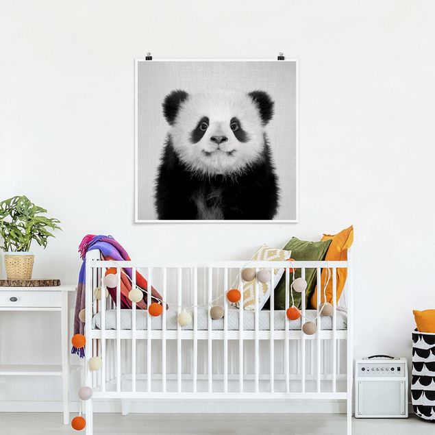 Obrazy do salonu Baby Panda Prian Black And White