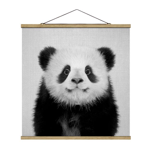 Zwierzęta obrazy Baby Panda Prian Black And White