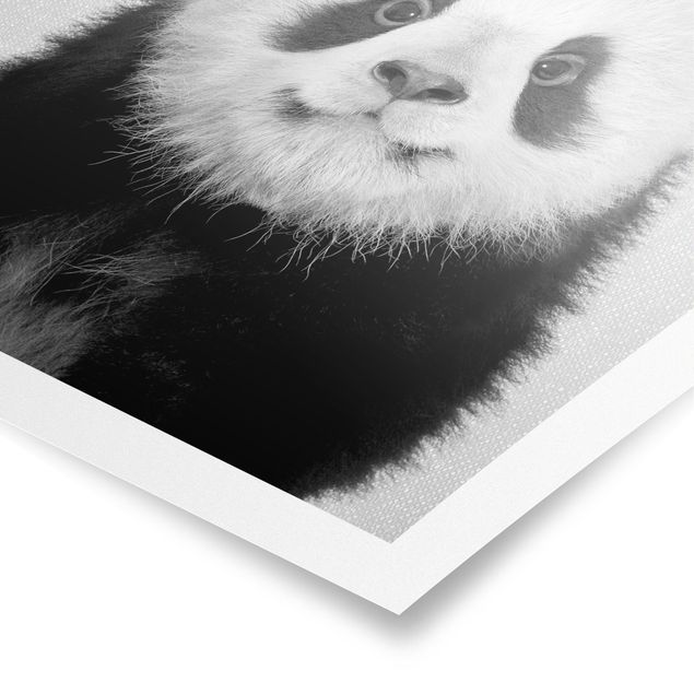 Panda obraz Baby Panda Prian Black And White
