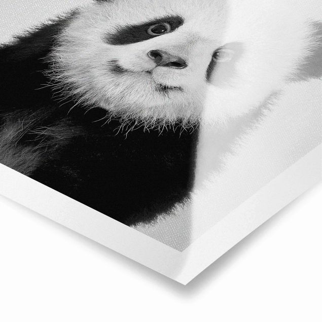 Czarno białe obrazy Baby Panda Prian Black And White