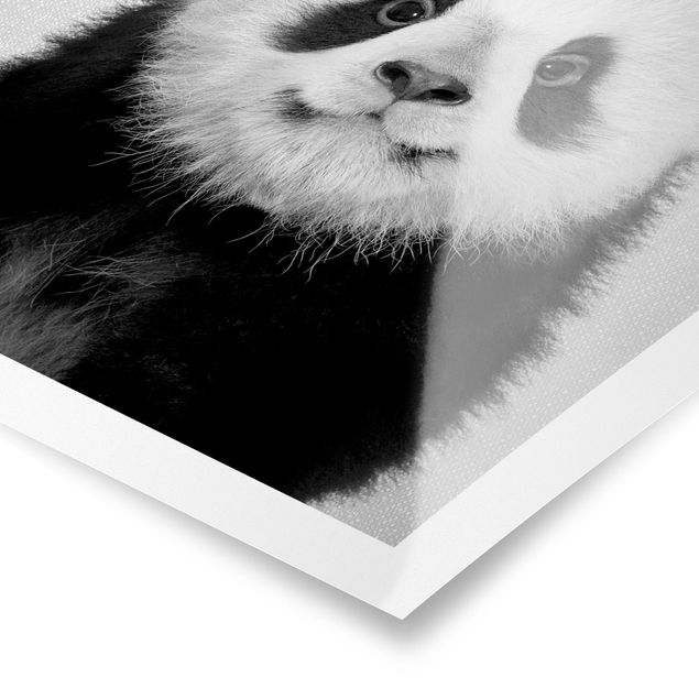 Czarno białe obrazy Baby Panda Prian Black And White