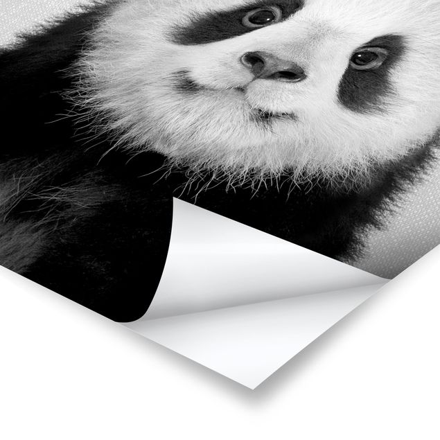 Plakaty czarno białe Baby Panda Prian Black And White