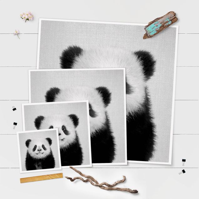 Obrazy na ścianę Baby Panda Prian Black And White