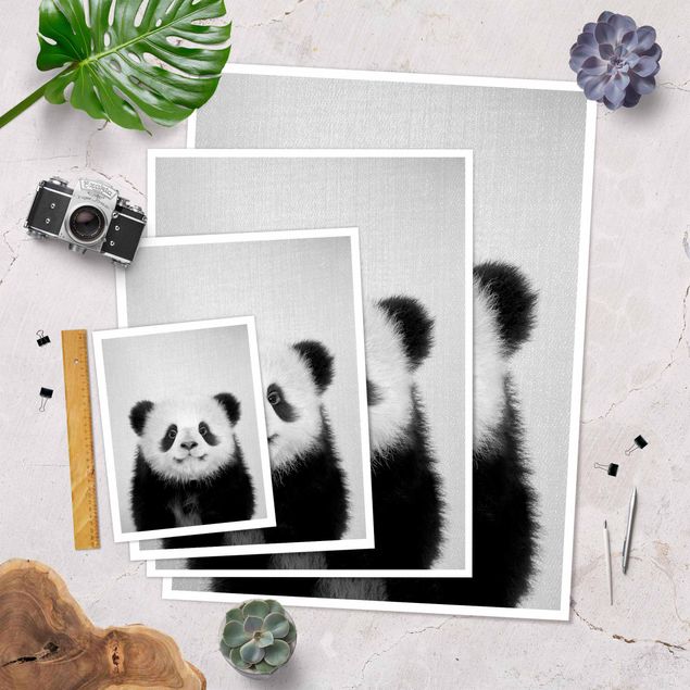 Obrazy na ścianę Baby Panda Prian Black And White