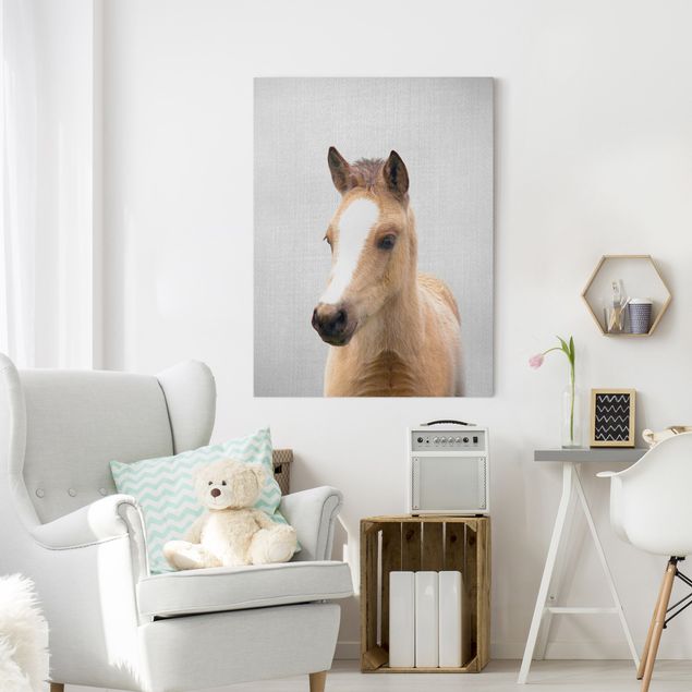 Obrazy do salonu nowoczesne Baby Horse Philipp