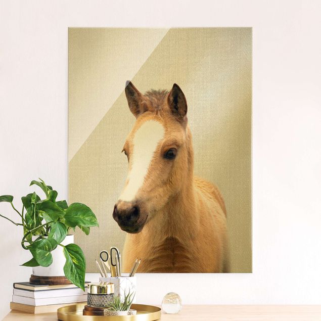 Obrazy na szkle portret Baby Horse Philipp