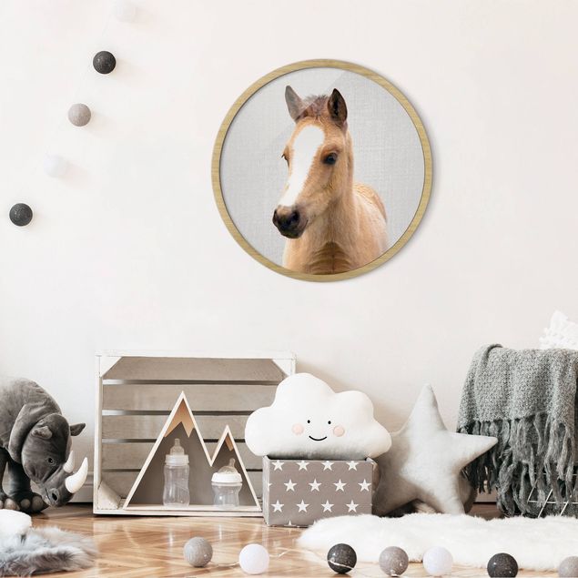 Obrazy do salonu Mały koń Philip