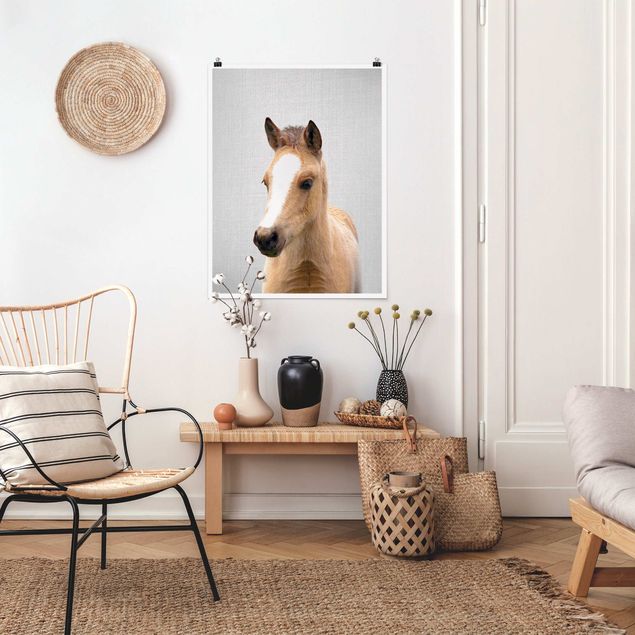 Obrazy nowoczesny Baby Horse Philipp