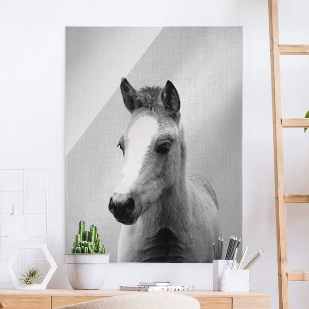 Pokój dziecięcy Baby Horse Philipp Black And White