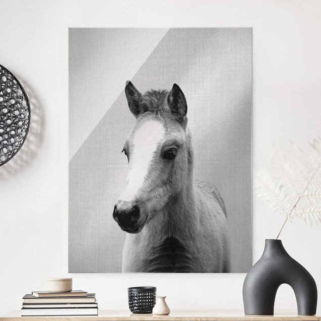 Obrazy na szkle portret Baby Horse Philipp Black And White