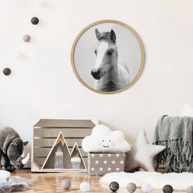 Obrazy do salonu nowoczesne Mały koń Philip czarno-biały