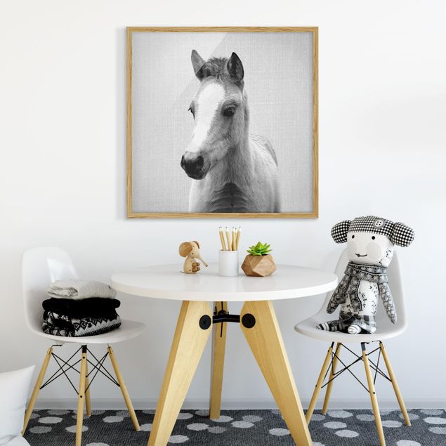 Obrazy koń Baby Horse Philipp Black And White