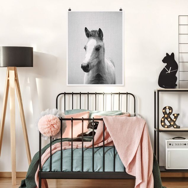 Obrazy nowoczesny Baby Horse Philipp Black And White
