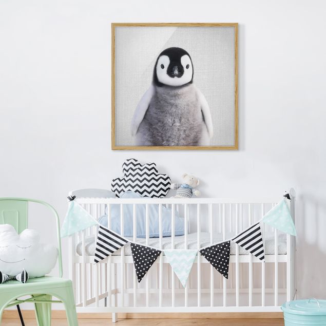 Obrazy w ramie zwierzęta Baby Penguin Pepe