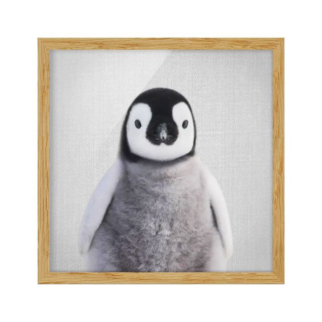 Obrazy do salonu Baby Penguin Pepe