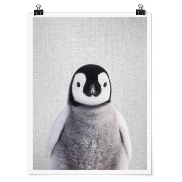 Obrazy ze zwierzętami Baby Penguin Pepe