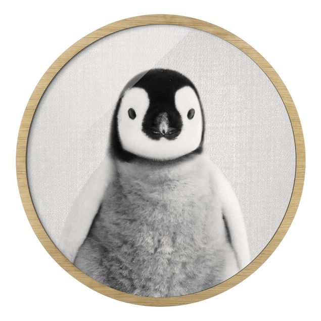 Obrazy do salonu Mały pingwinek Pepe czarno-biały
