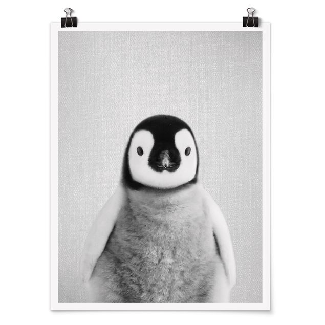 Obrazy ze zwierzętami Baby Penguin Pepe Black And White