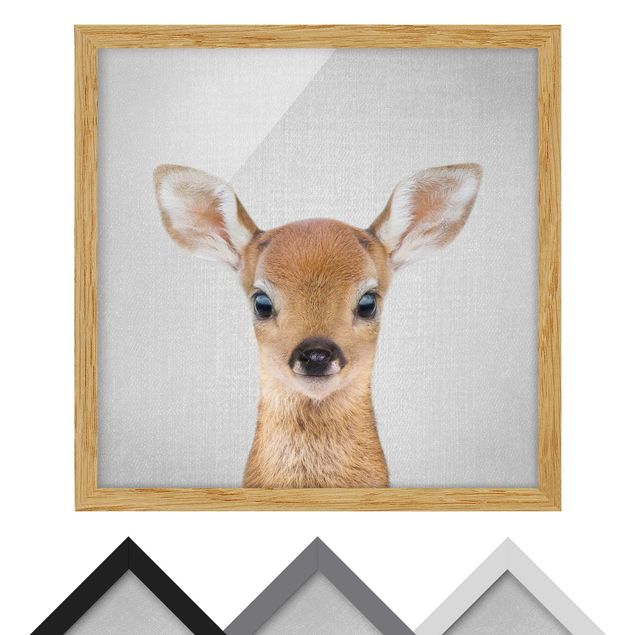 Obrazy zwierzęta Baby Roe Deer Romy