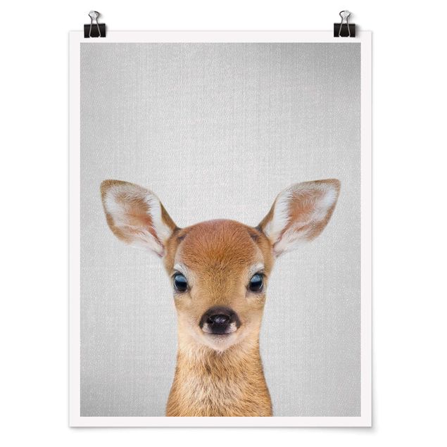Zwierzęta obrazy Baby Roe Deer Romy