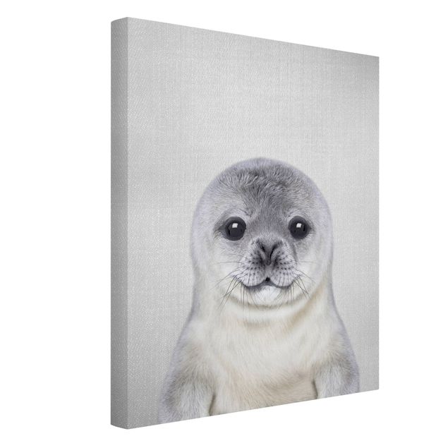 Obrazy ze zwierzętami Baby Seal Ronny