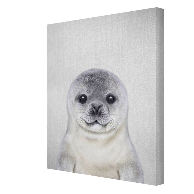 Obrazki czarno białe Baby Seal Ronny