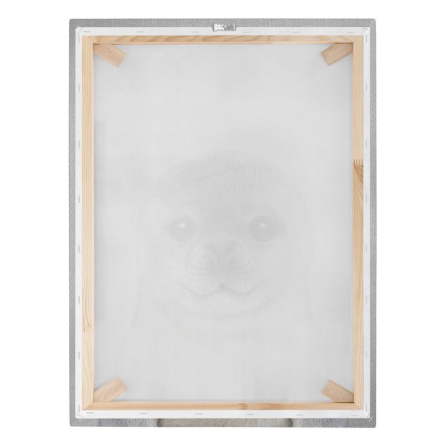 Obrazy na płótnie czarno biały Baby Seal Ronny