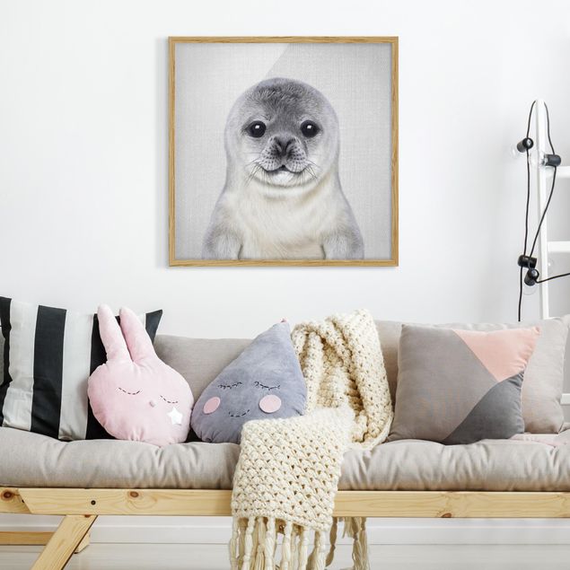 Obrazy w ramie zwierzęta Baby Seal Ronny