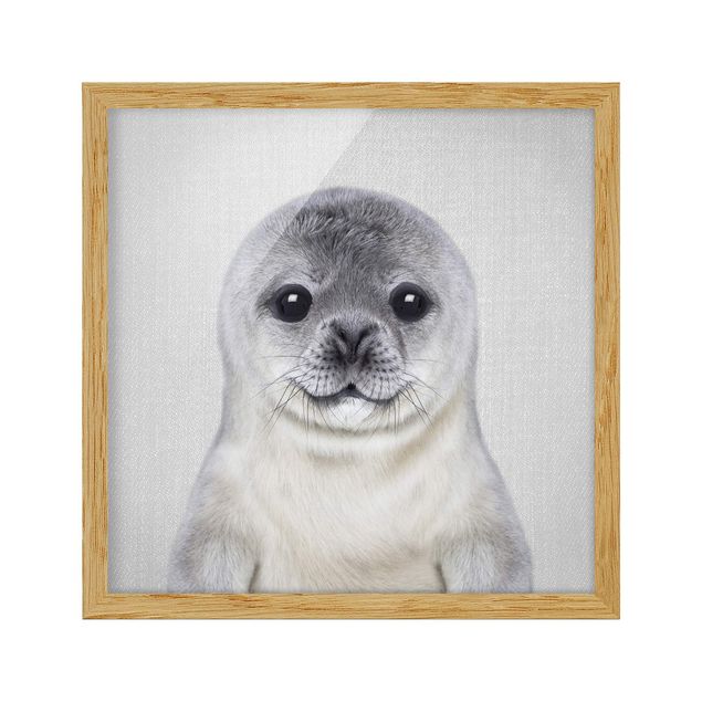 Obrazy do salonu Baby Seal Ronny