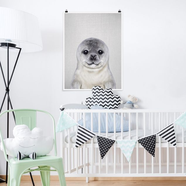 Obrazy do salonu nowoczesne Baby Seal Ronny