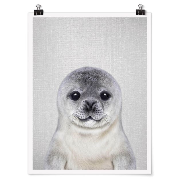 Zwierzęta obrazy Baby Seal Ronny