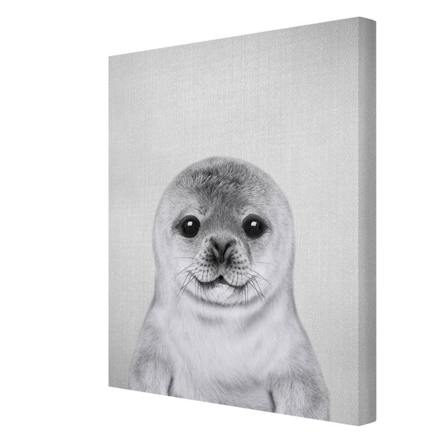 Obrazki czarno białe Baby Seal Ronny Black And White