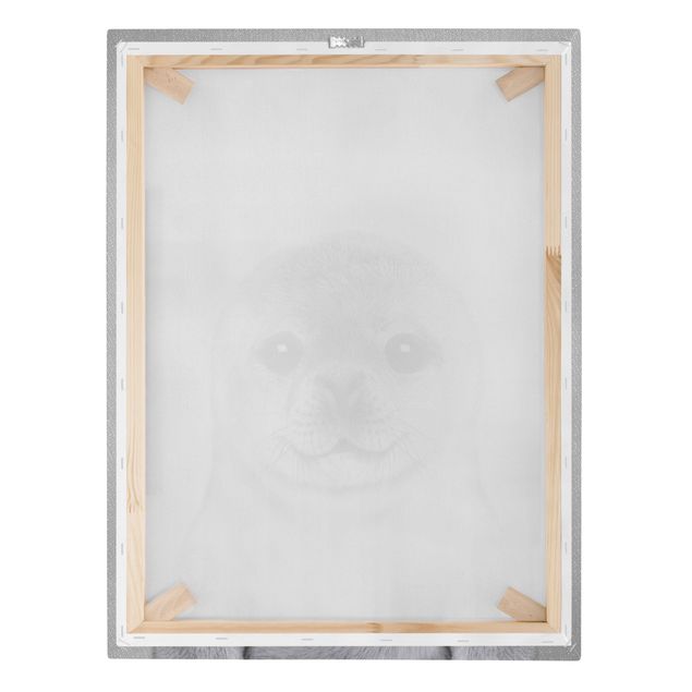 Obrazy na płótnie czarno biały Baby Seal Ronny Black And White