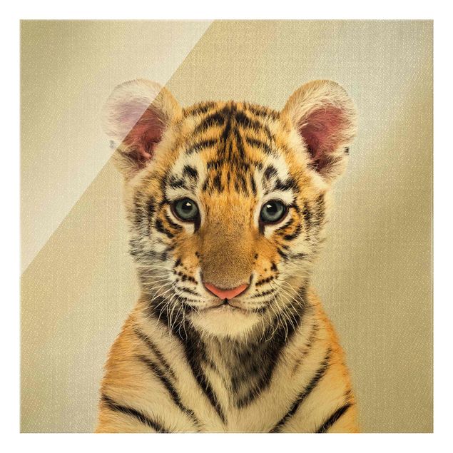 Obrazy na szkle zwierzęta Baby Tiger Thor