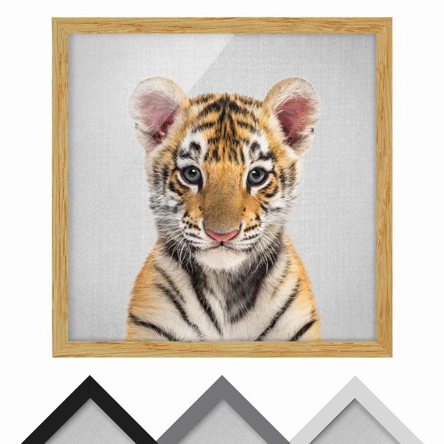Obrazy nowoczesne Baby Tiger Thor