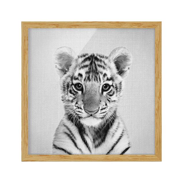 Obrazy w ramie zwierzęta Baby Tiger Thor Black And White
