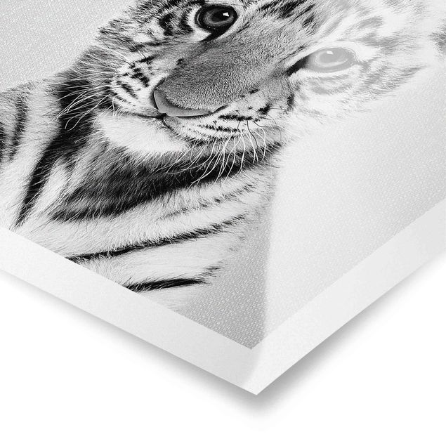 Obrazki czarno białe Baby Tiger Thor Black And White