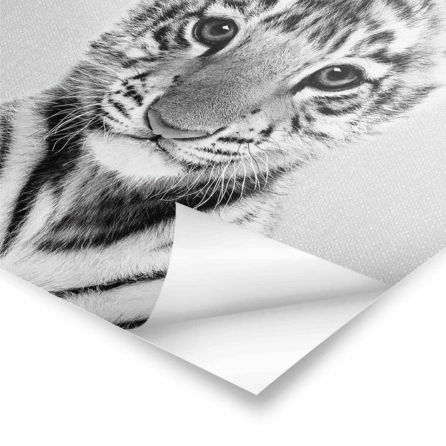 Czarno białe plakaty Baby Tiger Thor Black And White